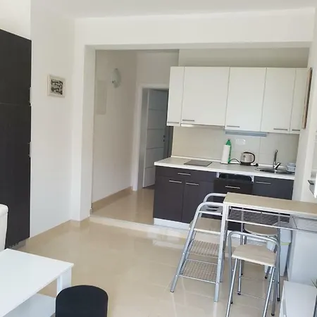 Apartment Marko